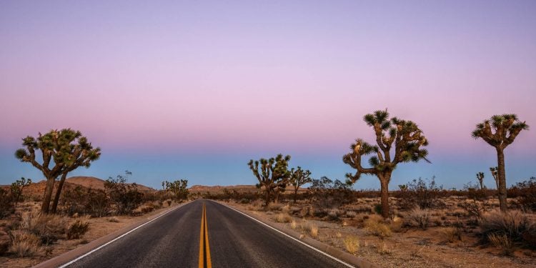 hit every national park in california on this epic road trip