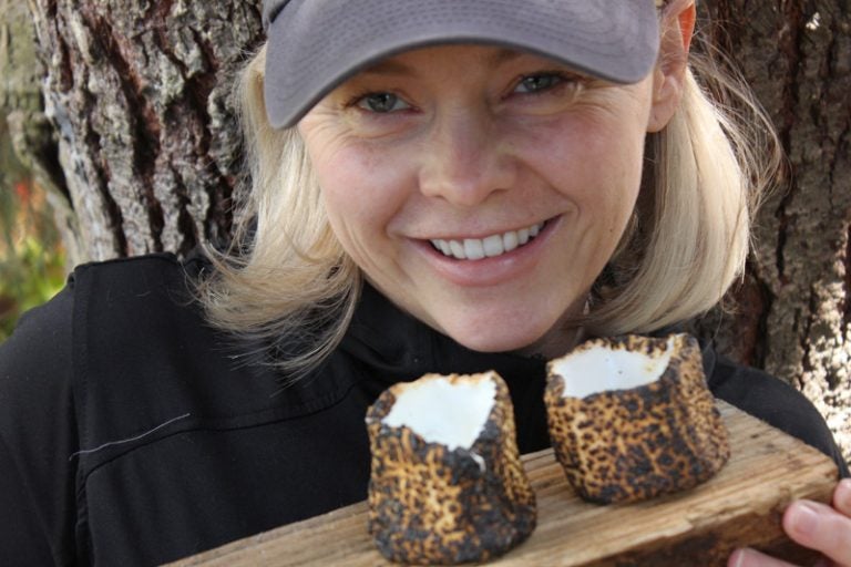 Toasted Marshmallow Shot Glasses Your Tipsy Camping Companion