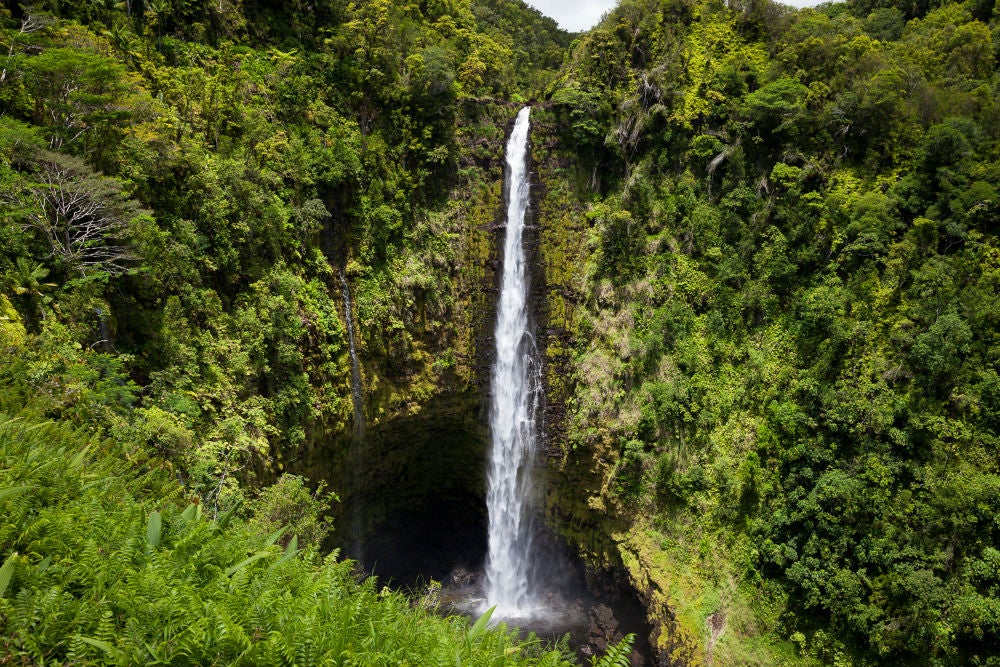 akaka falls hawaiian adventures