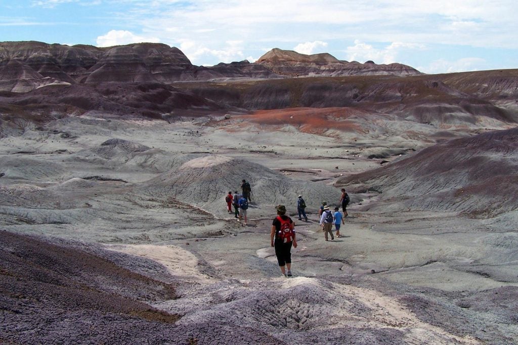 petrified forest national park camping