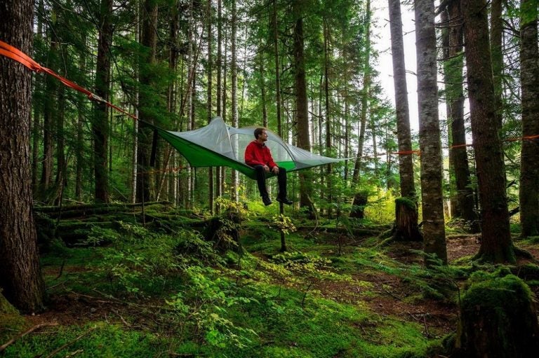 tree tent backpacking