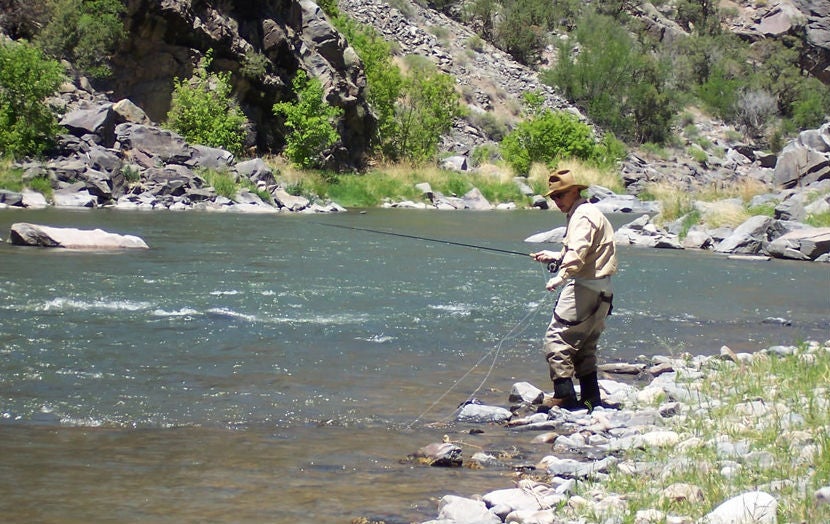 Thrills and Relaxation: Rafting and Fly Fishing on Colorado's Arkansas River