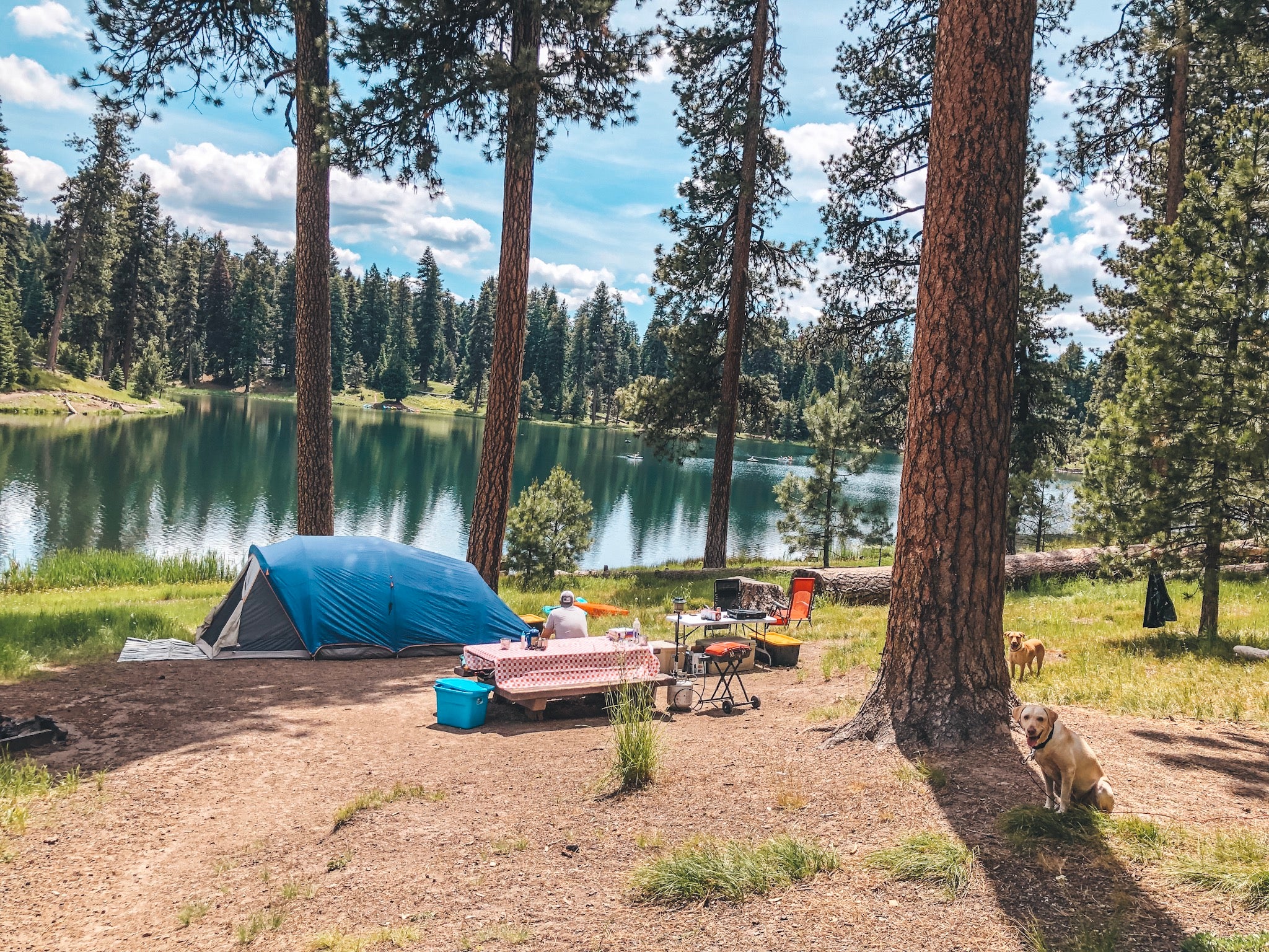 How to Snag a Campsite This Summer