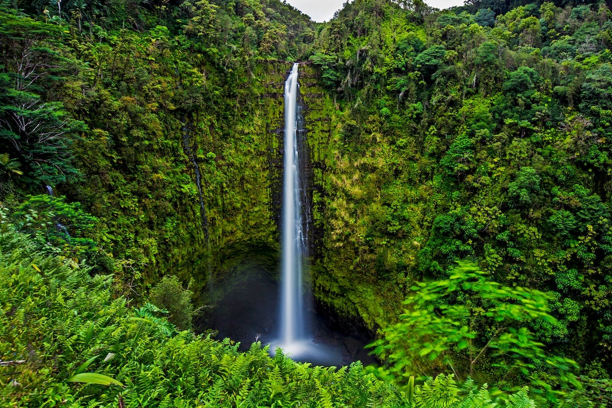 Akaka Falls in Hawaii