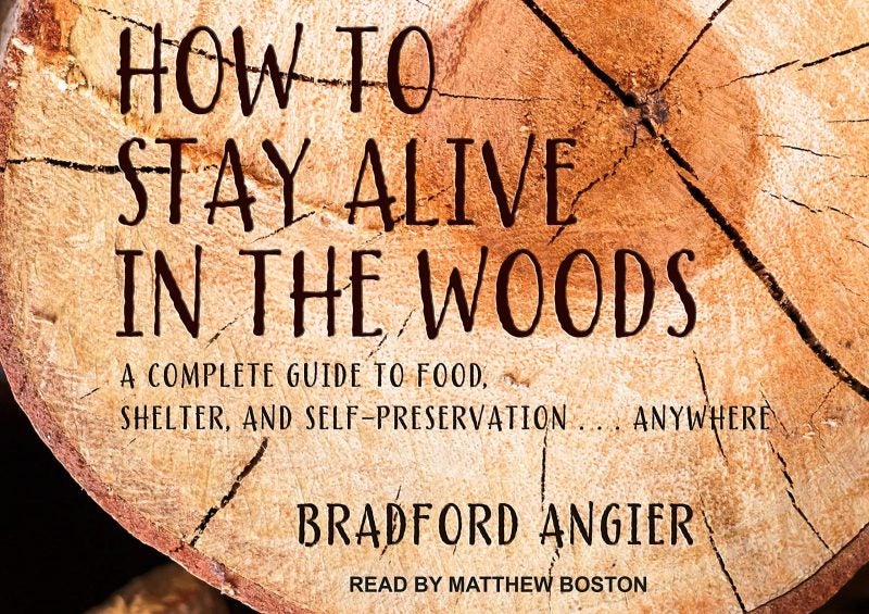 How to Stay Alive in the Woods audiobook cover