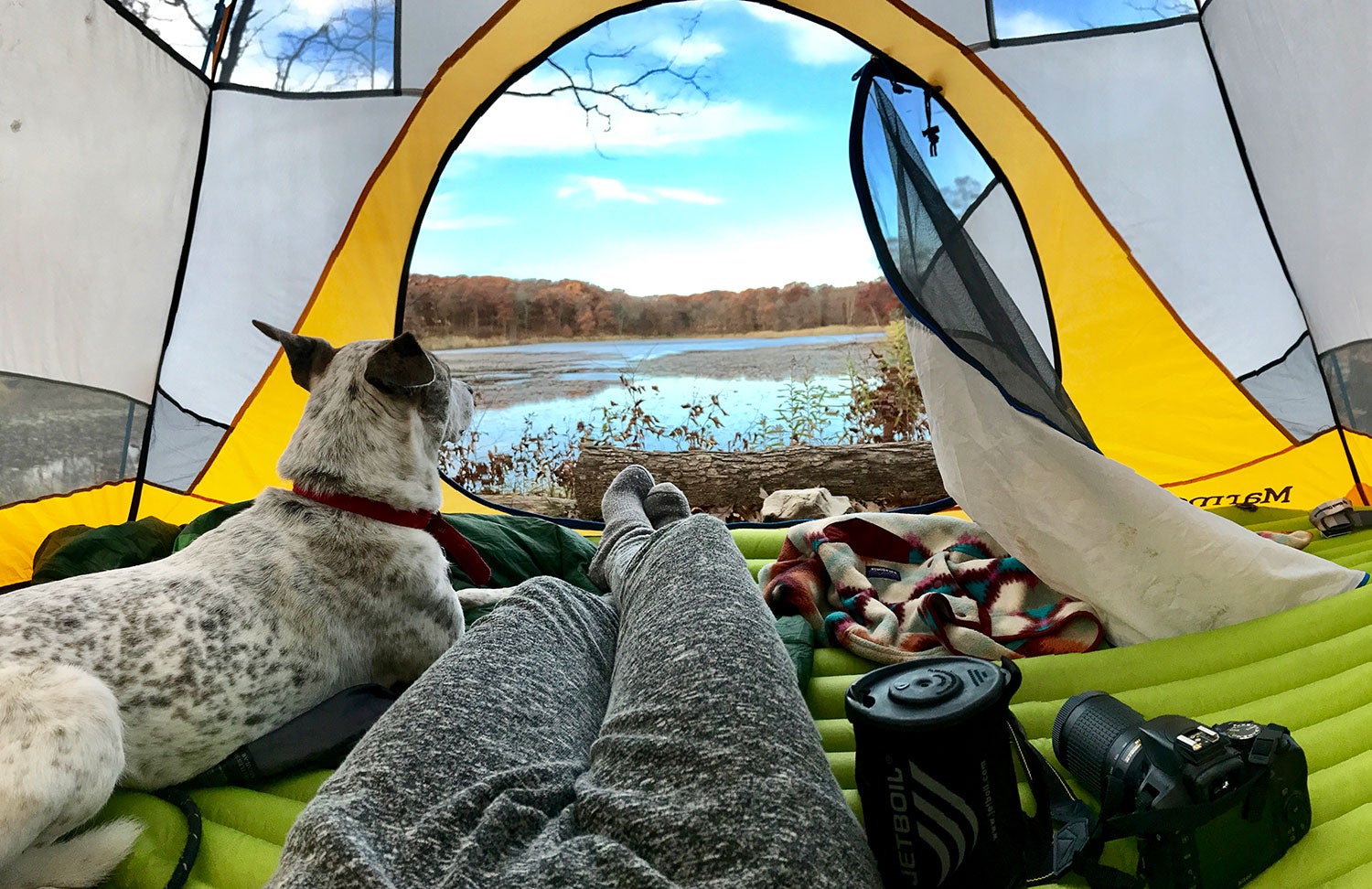 Person laying down in a tent next to their dog 