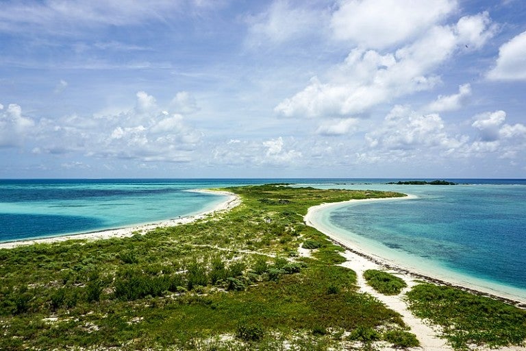 Dry Tortugas Revealed: The Getaway Guide to Camping in Paradise