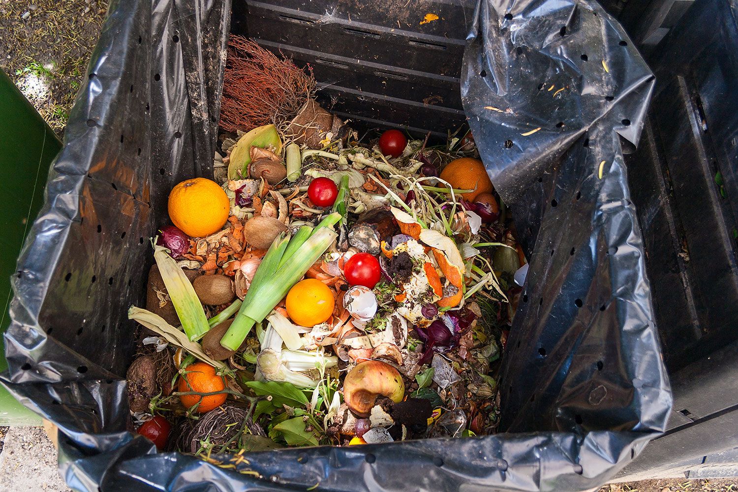 fruit and vegetable scraps in a waste bin