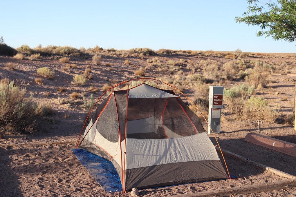 10++ Petrified Forest Az Camping