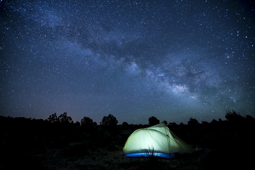 petrified forest national park camping