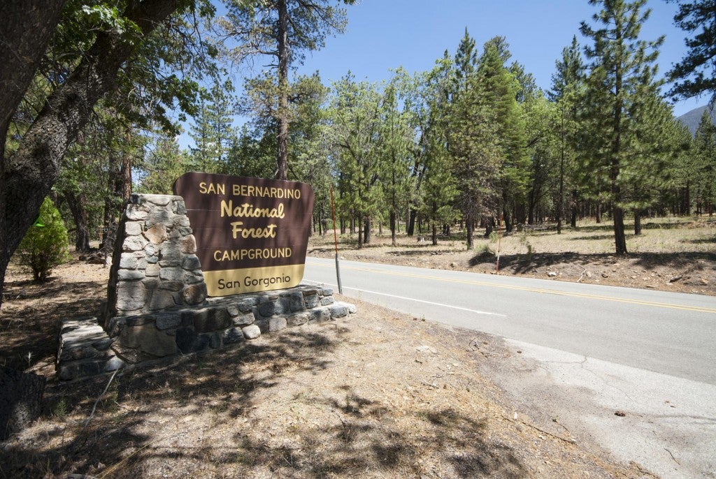 san gorgonio campground