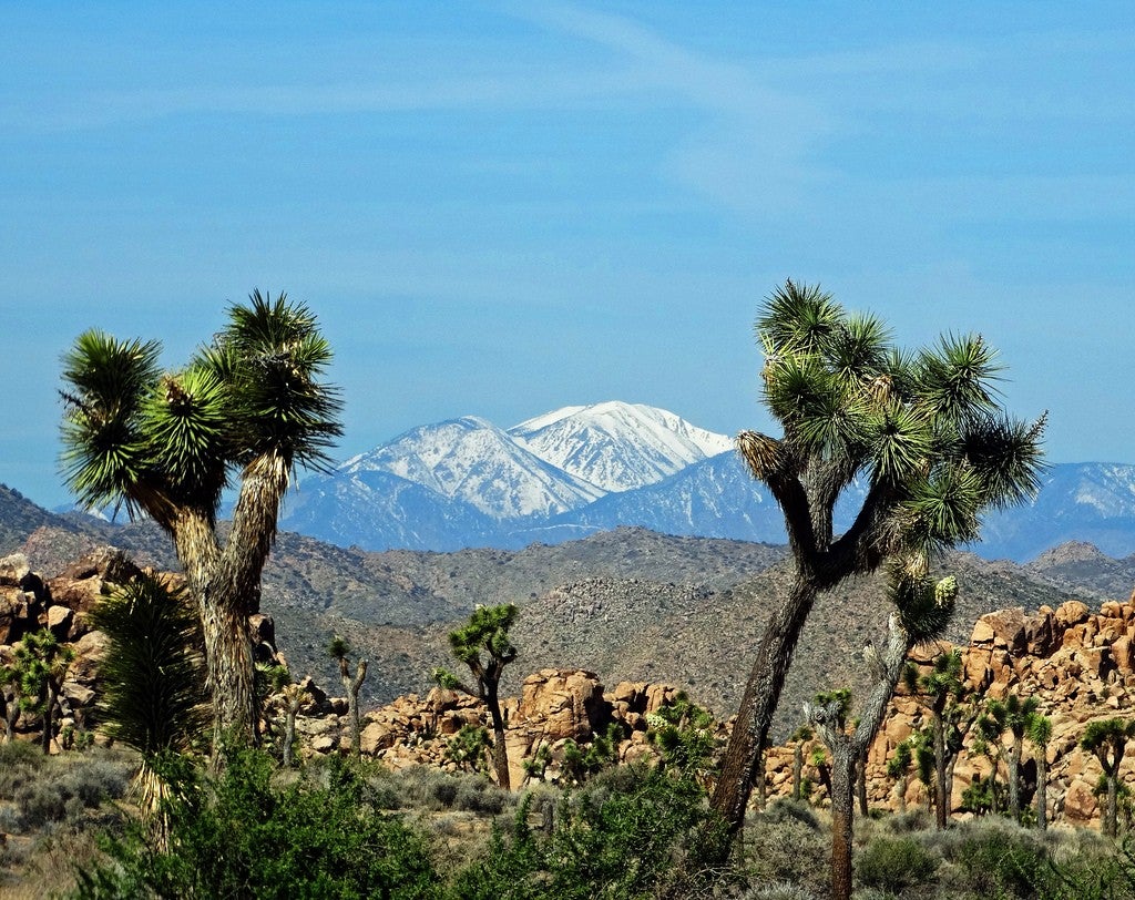 San Gorgonio mountain