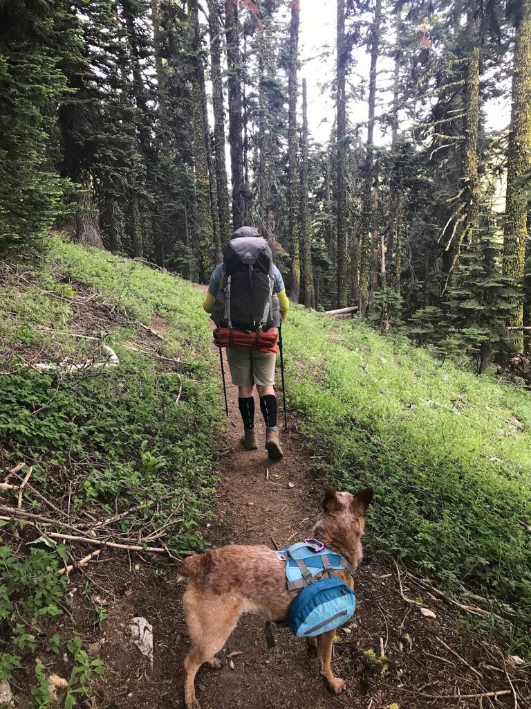 Pacific Crest trail hiker 