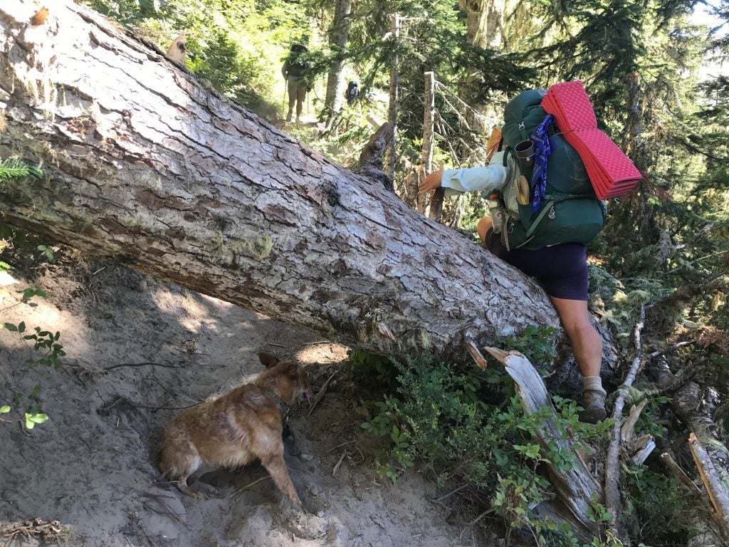 PCT obstacles