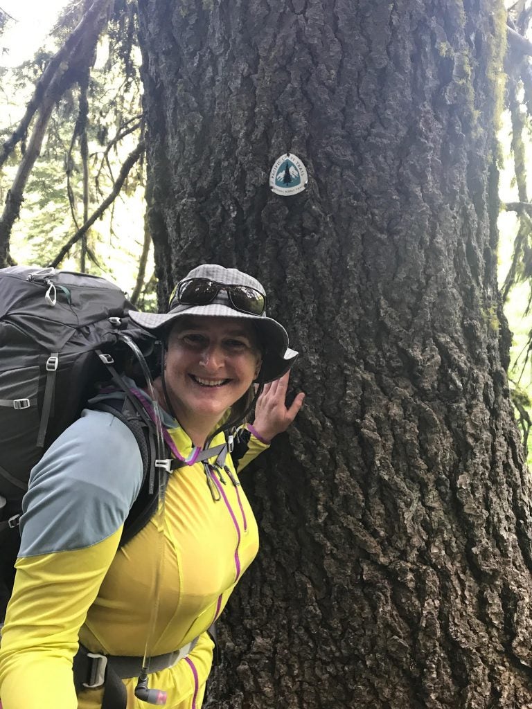 Hikers along the PCT