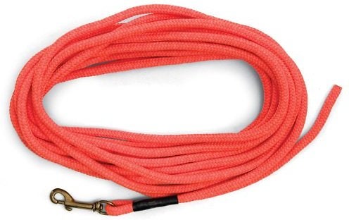 Camping gear for dogs: the SportDOG Check Cord leash