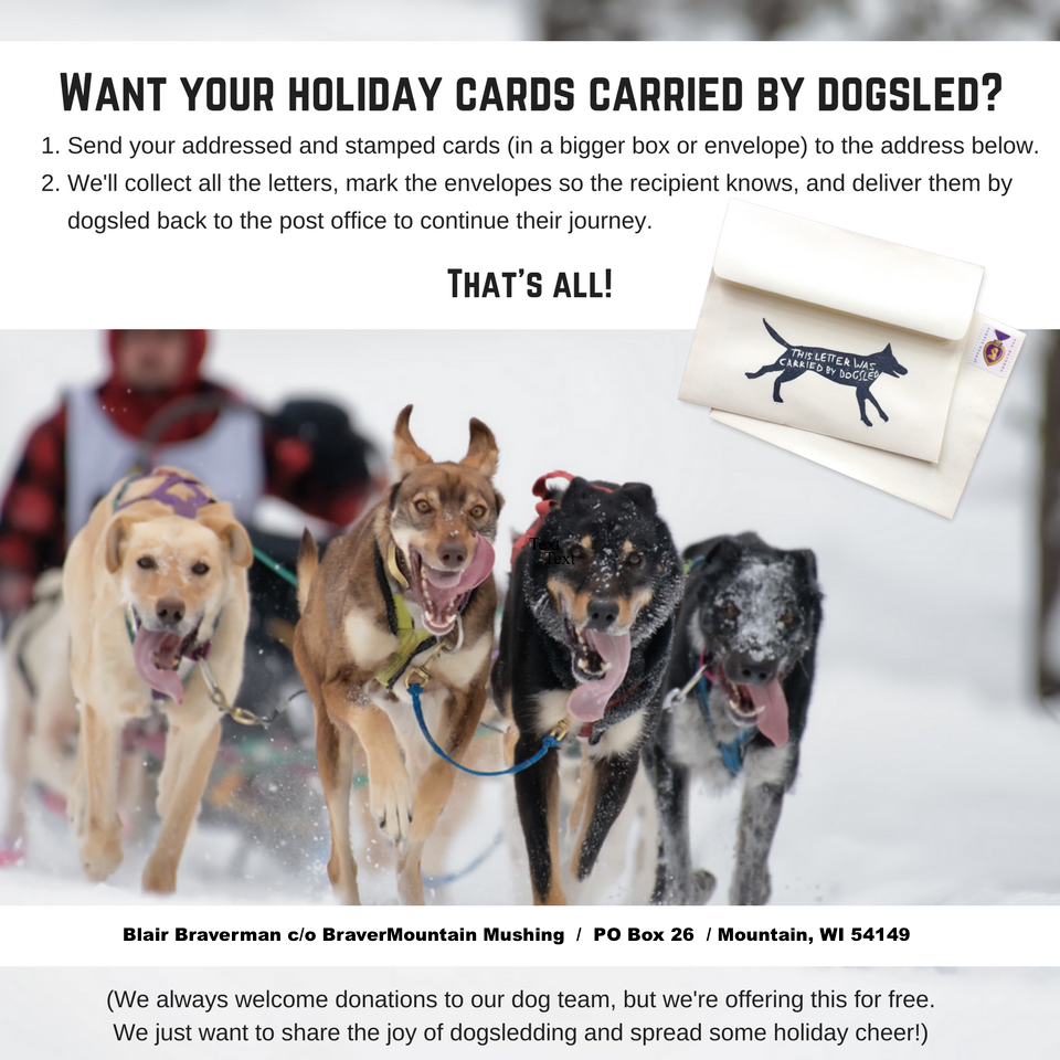 Holiday mail by dog sled