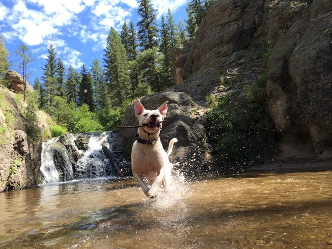 Jemez Falls campgrounds