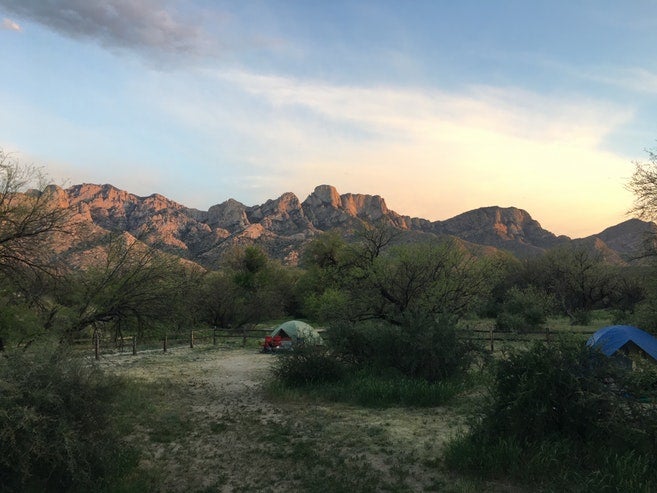 Best Desert Campgrounds: Catalina State Park