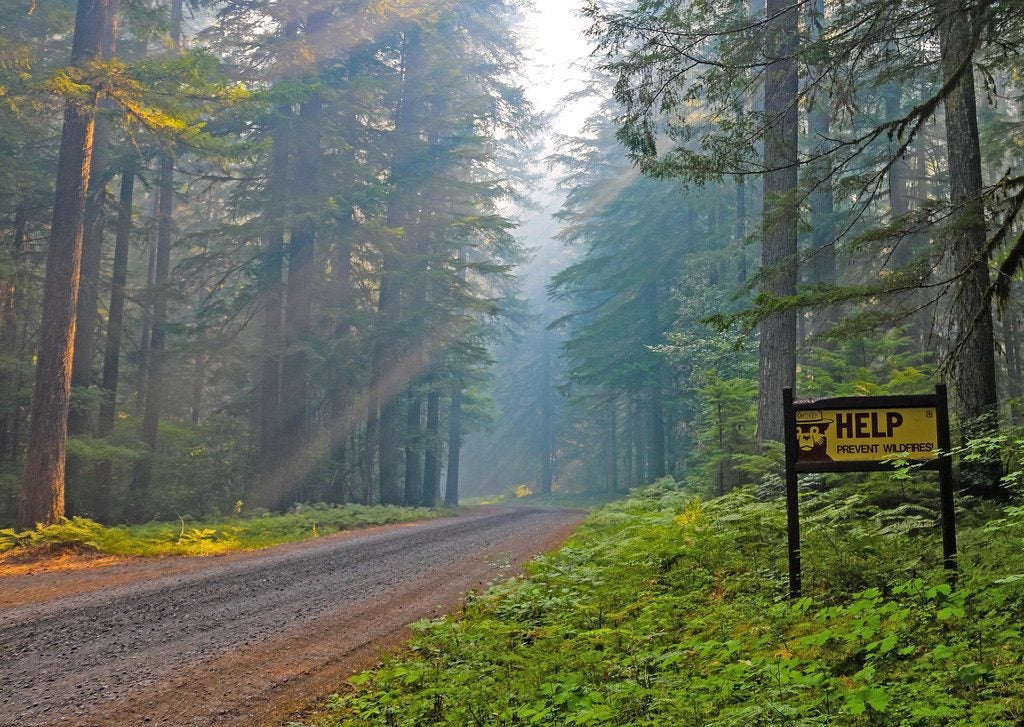Forest road with a prevent wildfires sign.
