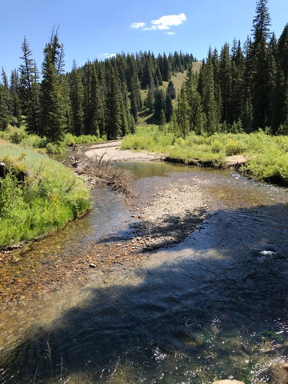 Camping in the West: Bridger