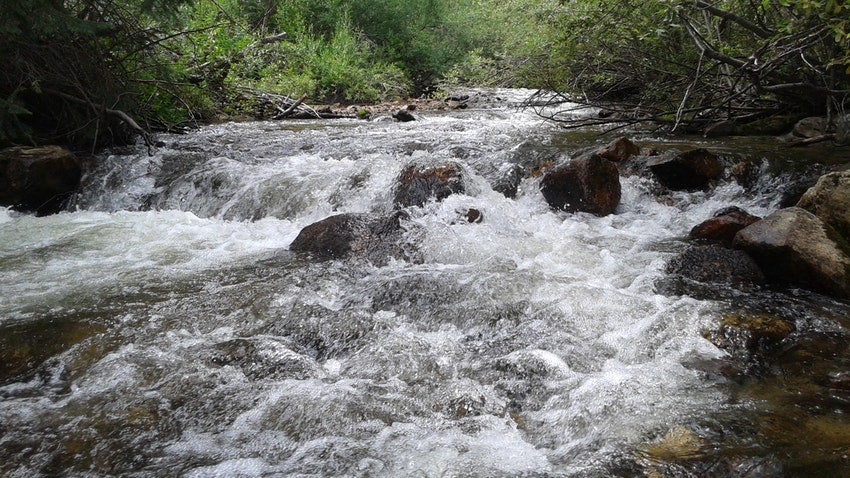 Camping in the West: Collegiate Peaks