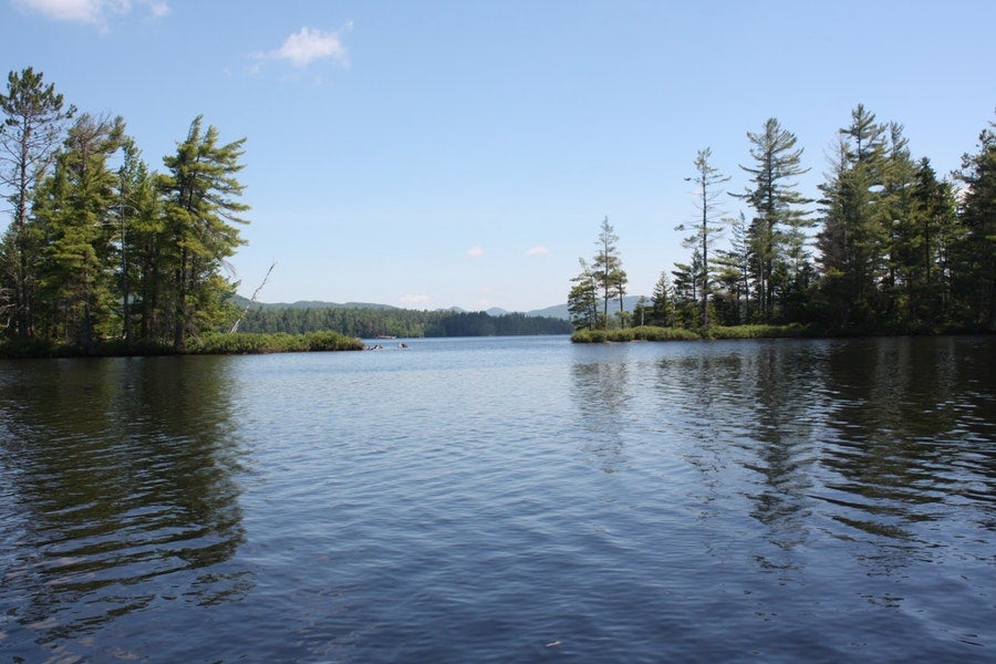 Dog-friendly campgrounds: Buck Pond