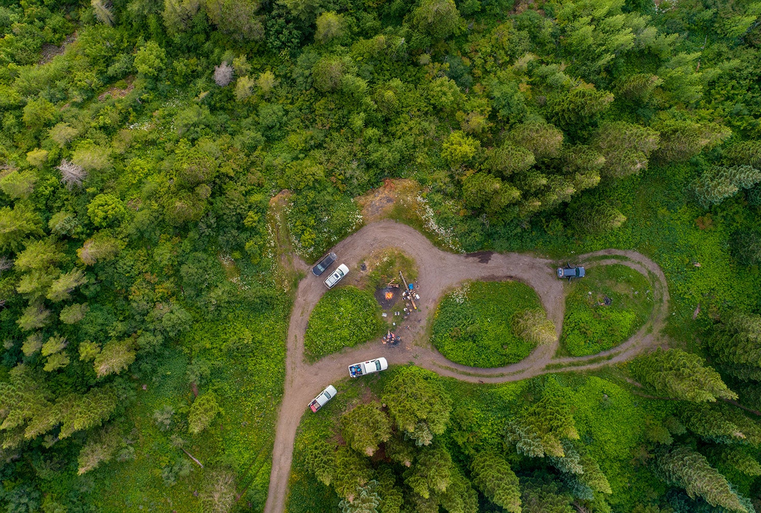 aerial view of dispersed camping in a national forest