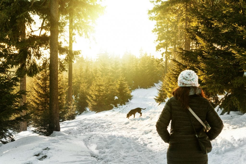 You don't have to partake in forest bathing solo! Bring a friend, even if that friend is furry. 