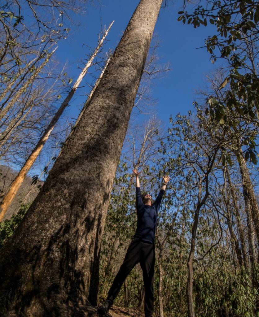 Hutch stretches with the trees while camping in the Blue Ridge Mountains.