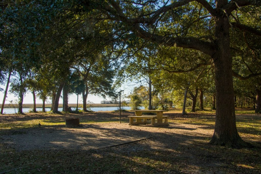 Go without reservations when camping in South Carolina.