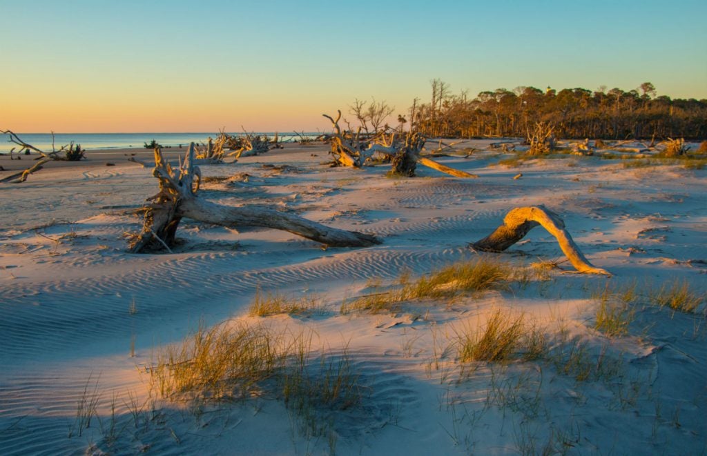 Huntington State Park is a great destination for those looking at camping in South Carolina. 