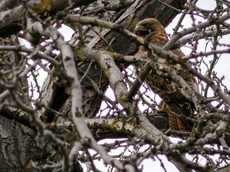 cove palisades state park eagle oregon