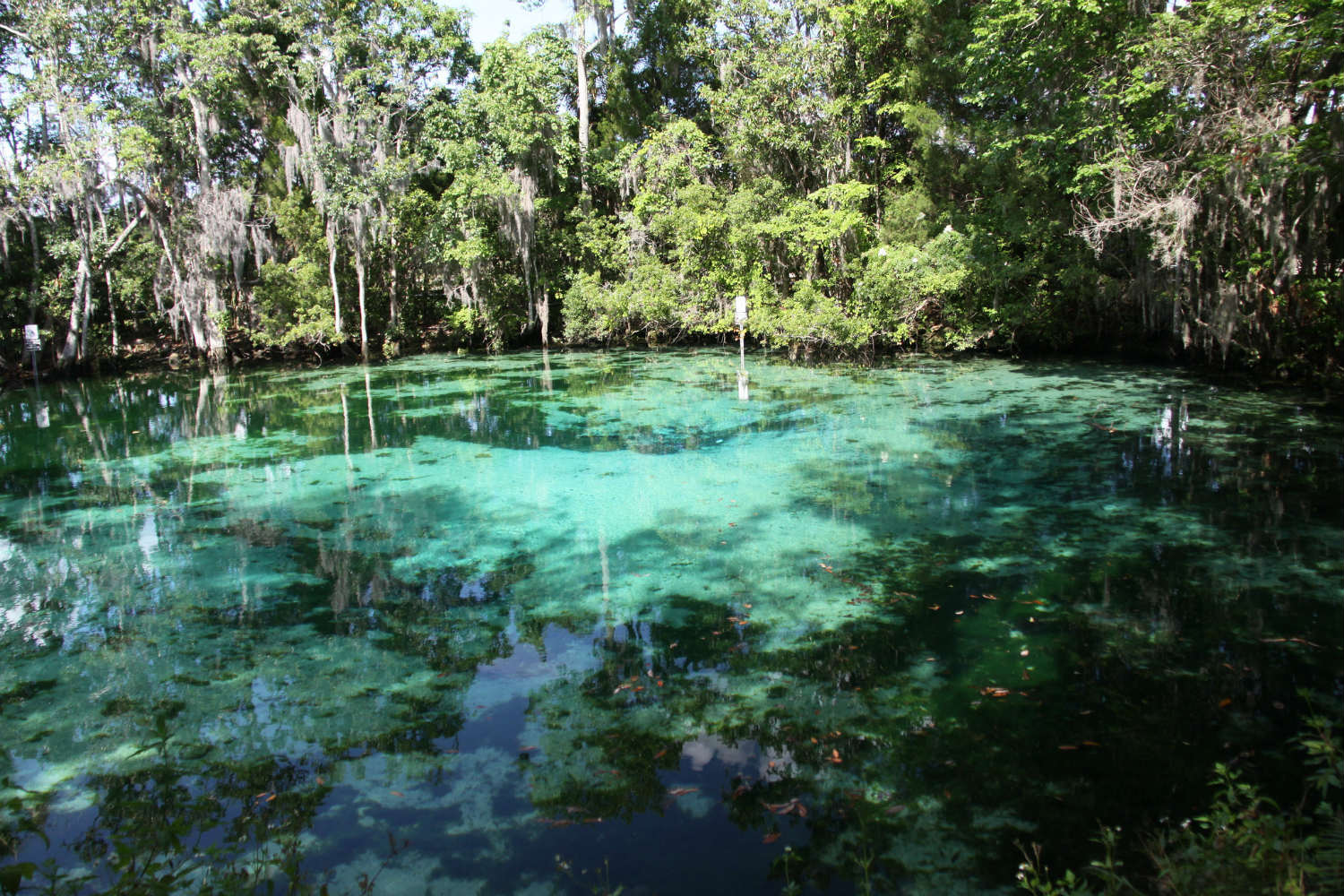 snorkeling in florida