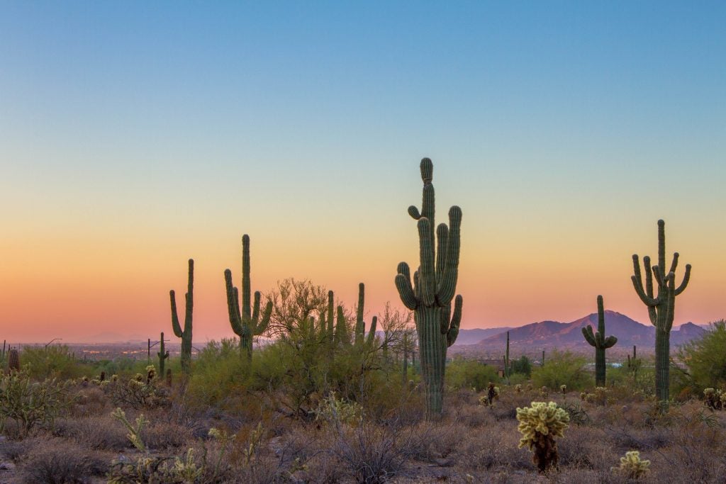 Arizona National Scenic Trail thru-hikes