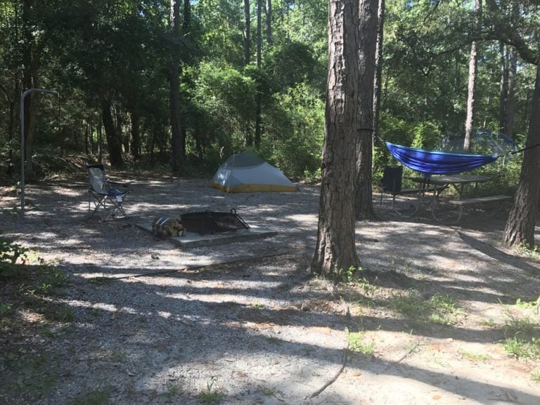 Carolina Beach State Park, NC: 9 Pieces Of Advice From Campers