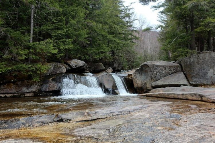 Campers Love These 6 DogFriendly Campgrounds in Maine
