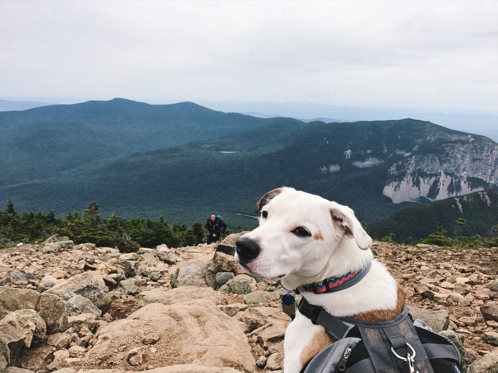 hiking in new england state parks