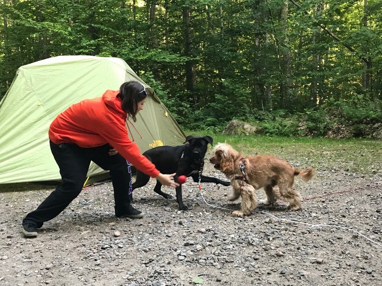first camping trip with dogs