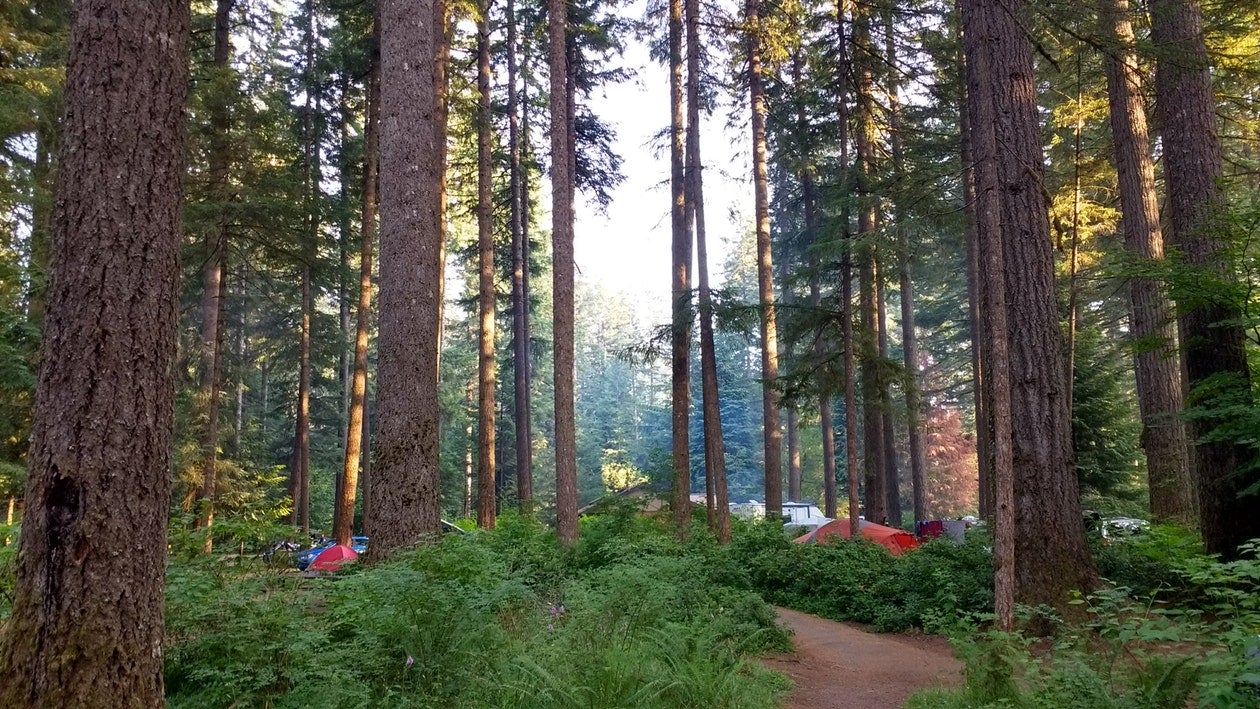 Silver Falls State Park camping