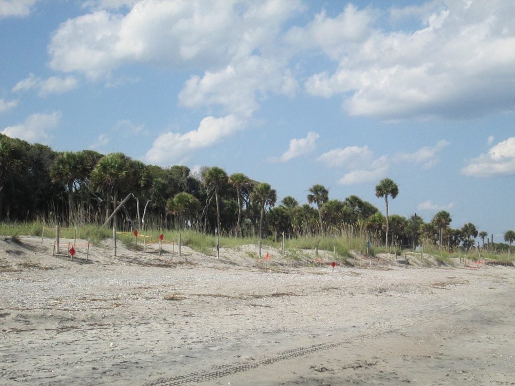 Edisto Beach State Park shoreline