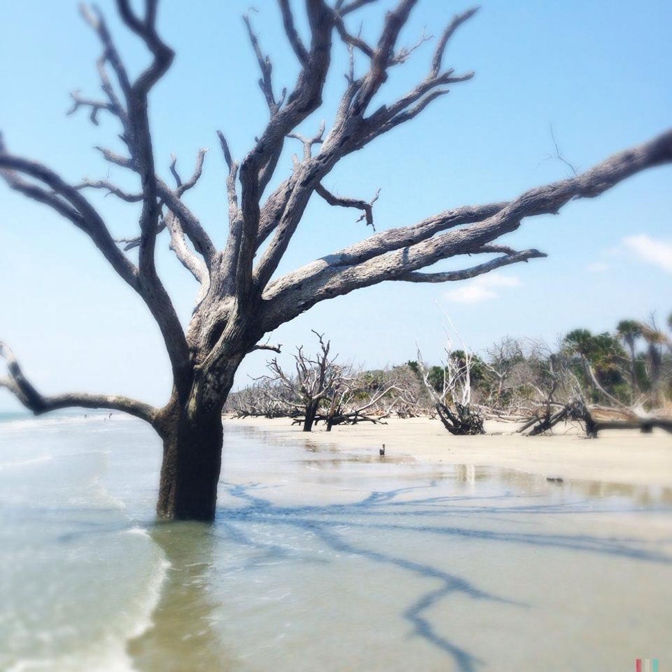 Edisto Beach State Park