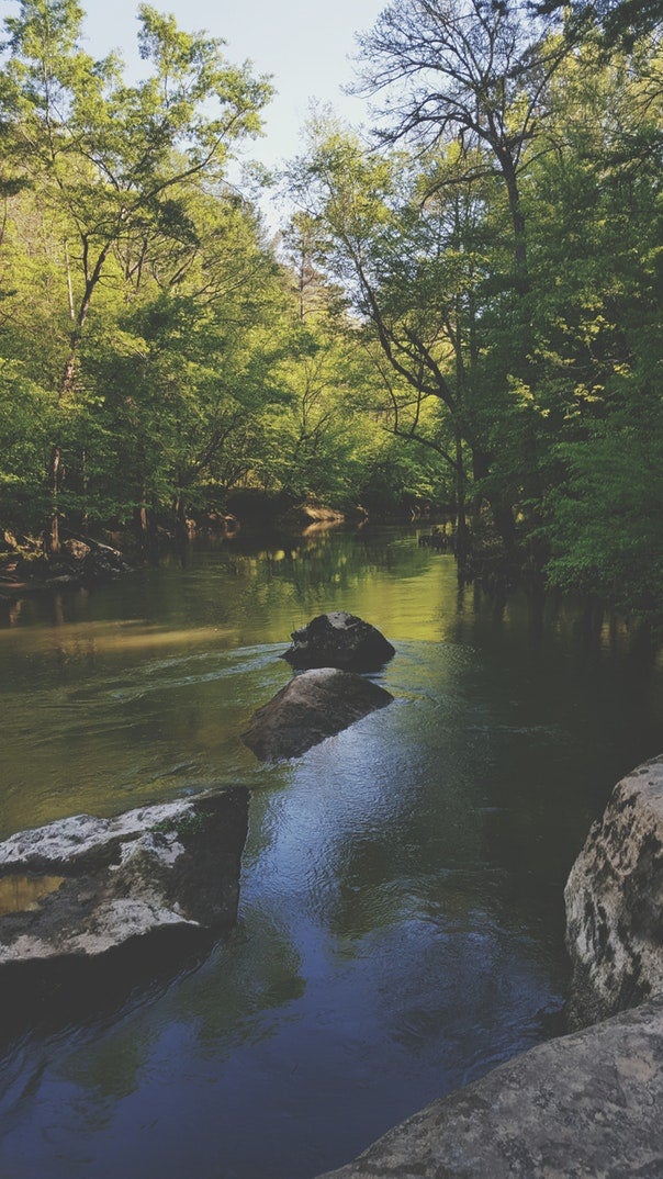 Tishomingo State Park river