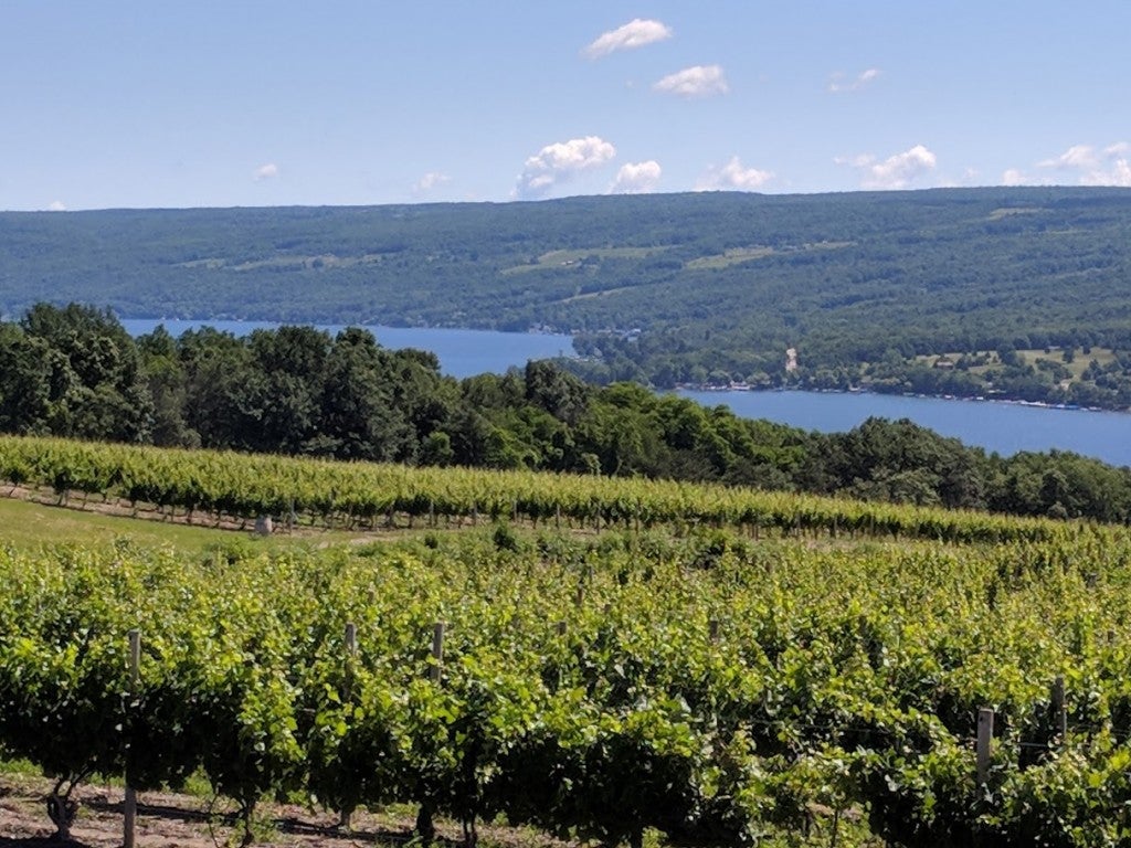 New York State Finger Lakes wineries