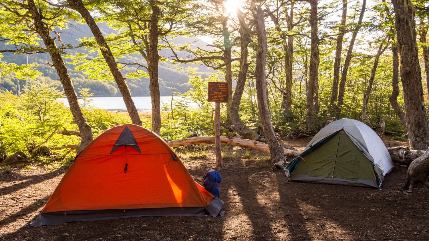 Camp Like a Pro: Insider Tips for a Successful Group Camping Trip ...