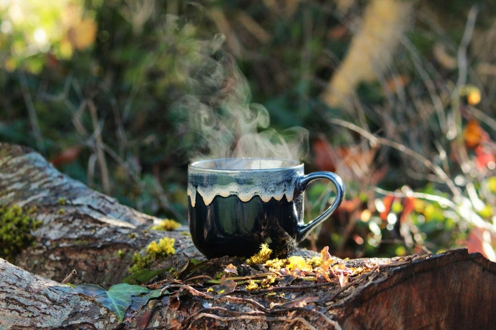 steaming mug of coffee rested on log in forest