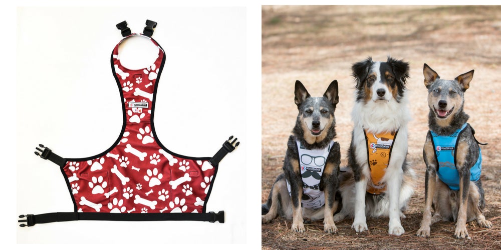 camping gear list: koolskinz pet vest