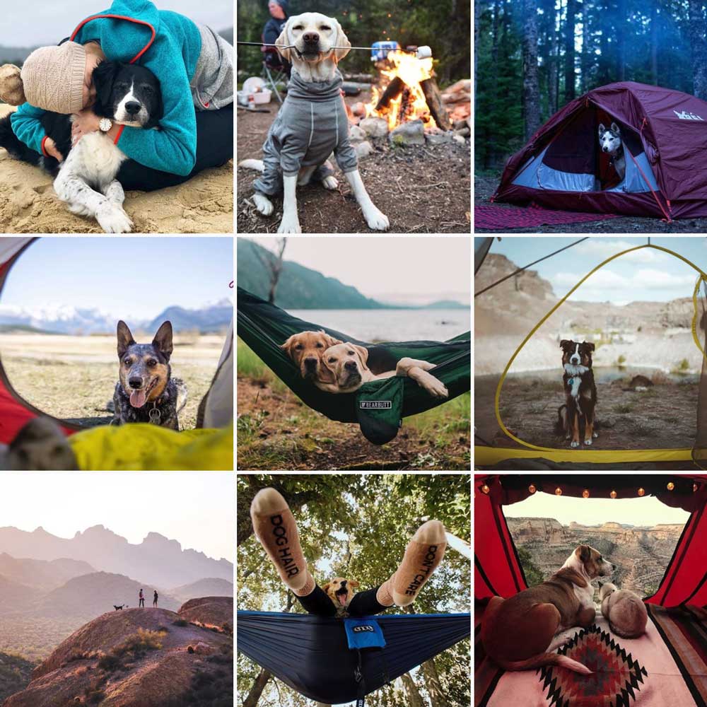 visit wilderness instagram