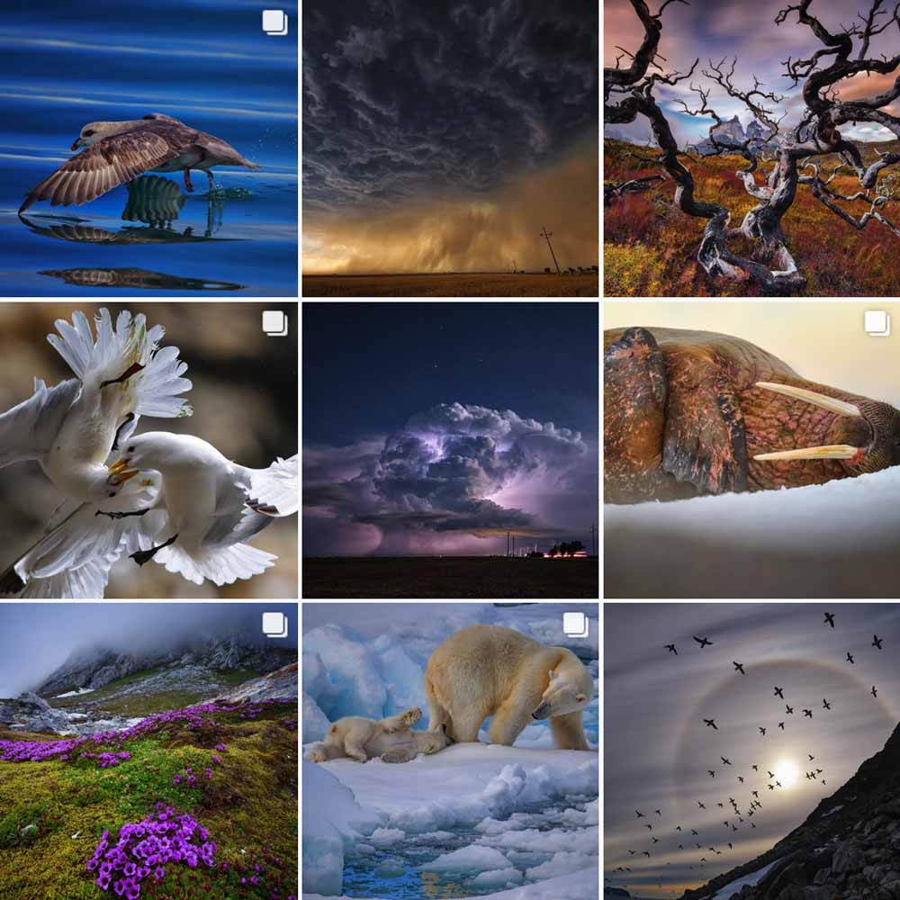 visit wilderness instagram