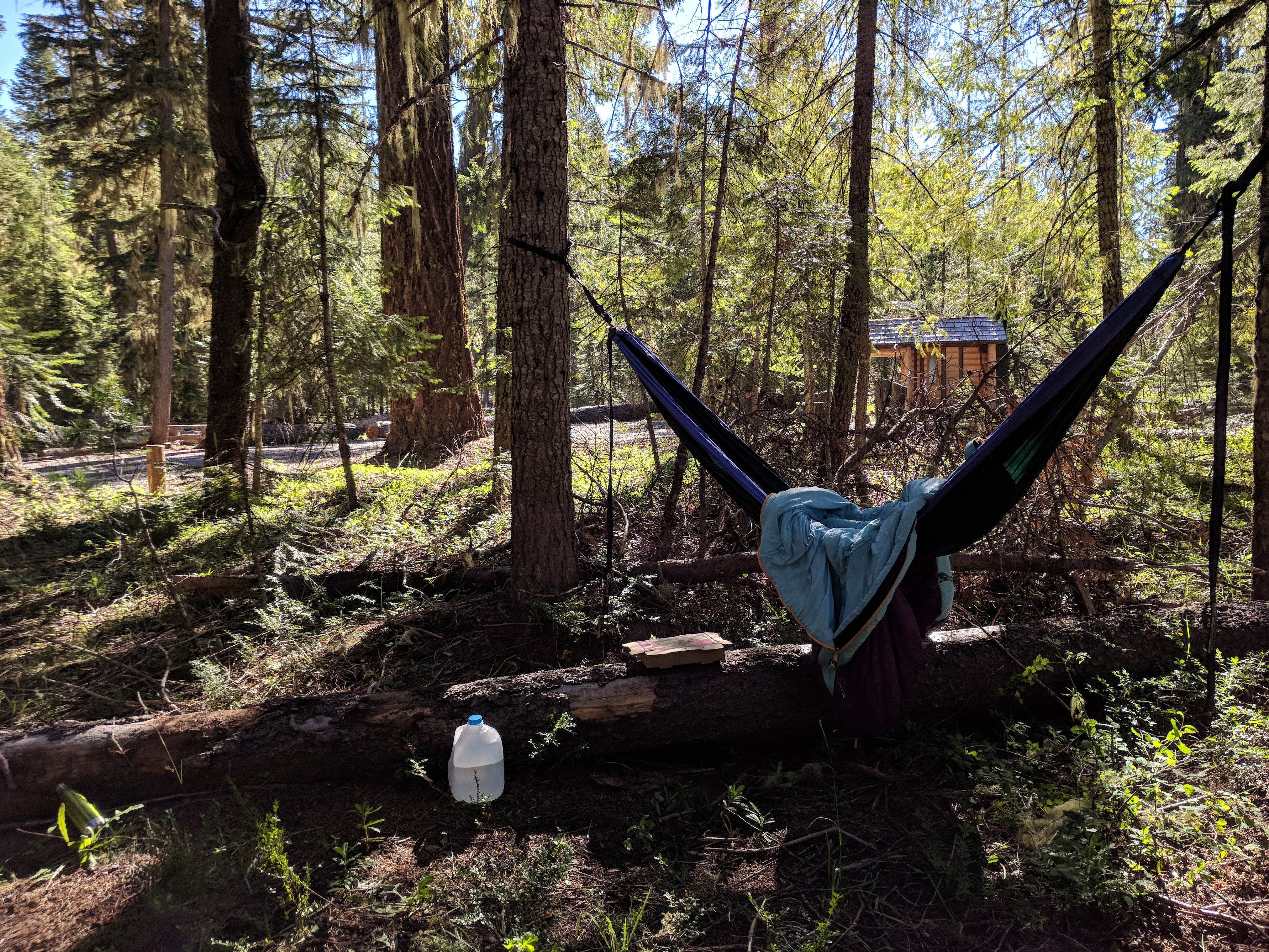 camping without a car in Thielson Creek Campground